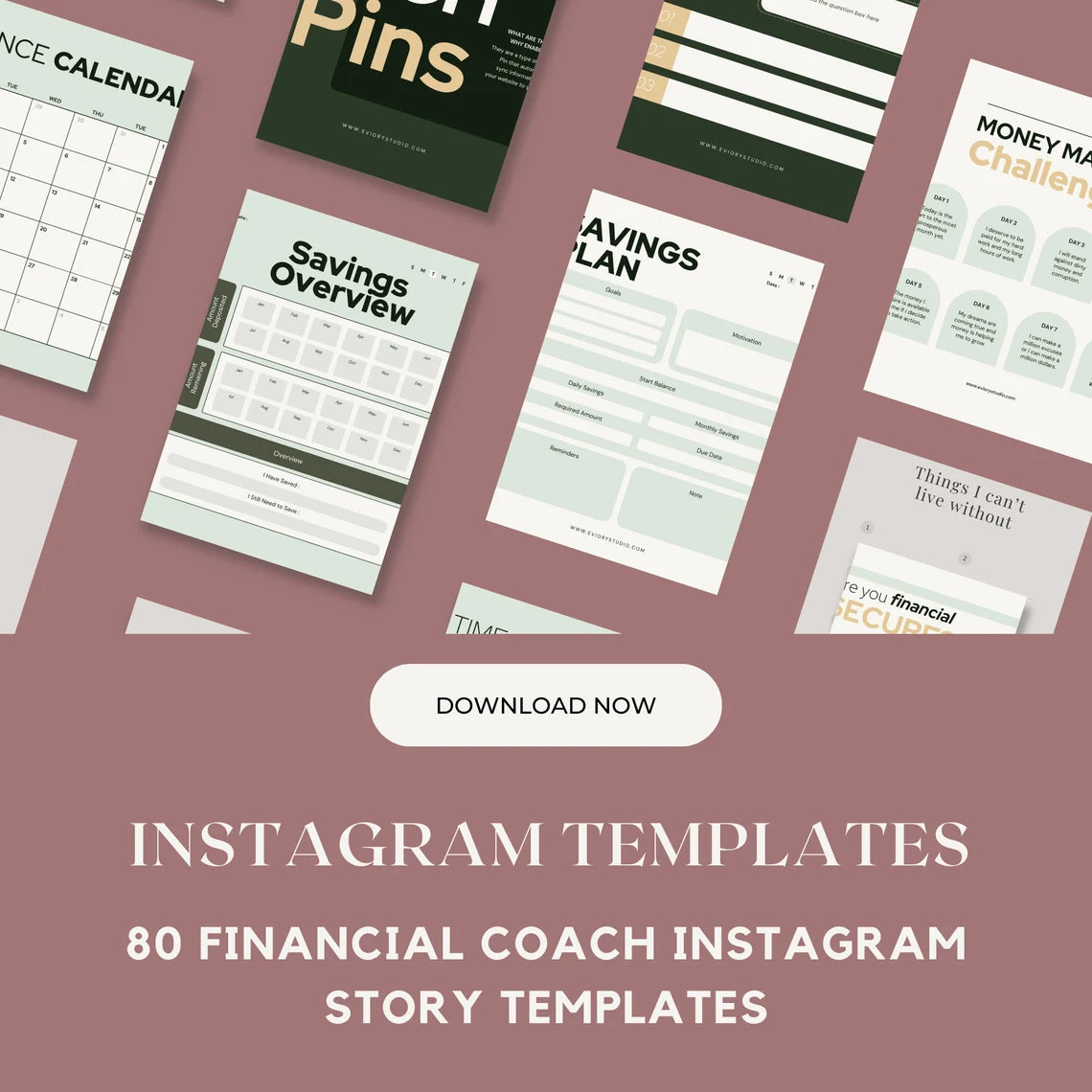 80 Financial Coach Canva Templates | Coaching Business Instagram Post Template | Finance Coaching | Fully Customizable | Finance Business
