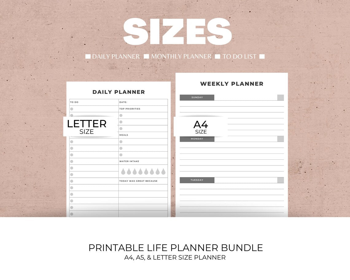 Digital Download Product - Adobe Acrobat Reader Required, My daily planner, Instant digital download, Daily agenda, Printable planner